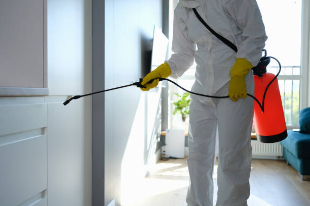 Best Health and Safety Mold Remediation in New Lexington, OH
